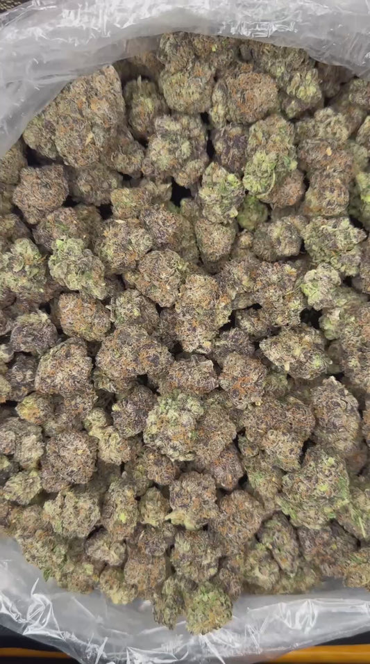 Grape God